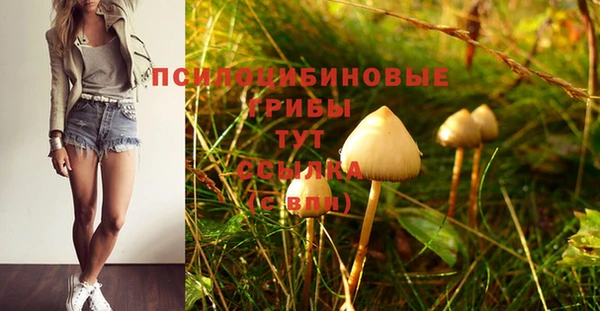 МДПВ Верея